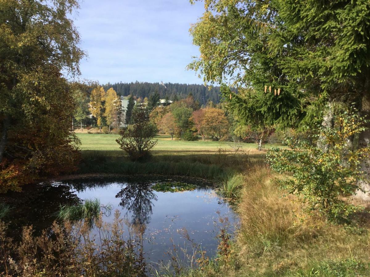 Gemuetliche 1Z Fewo In Schoenwald Mit Balkon, Schwimmbad, Sauna, Fitness Kültér fotó